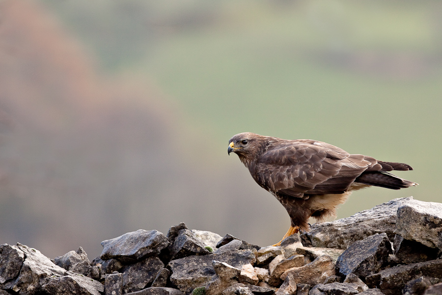 Buse variable sur un pierrier