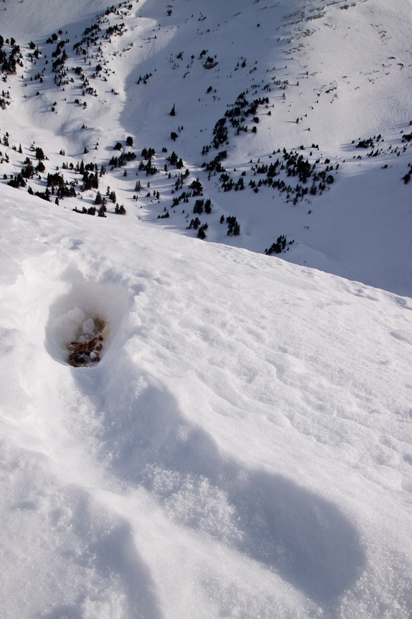 Igloo et crottier du lagopede alpin en hiver