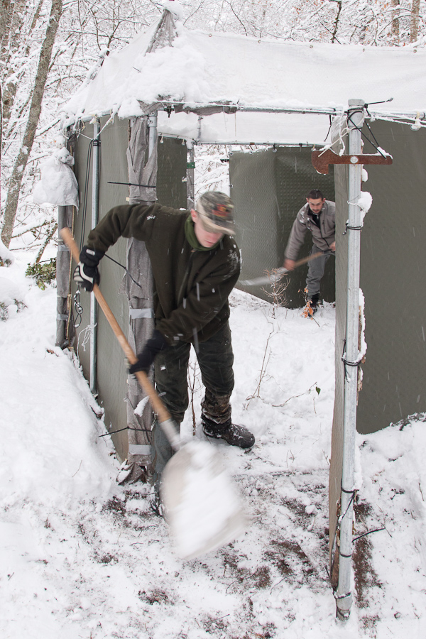 Déneigement de la cage-piège.