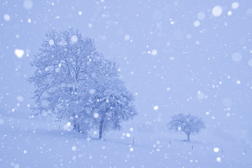 Au coeur de la tempête de neige