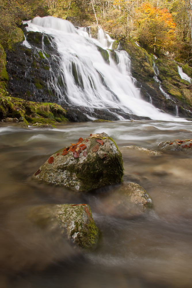 Le Nant d'Aillon vers la cascade du Pissieux en automne