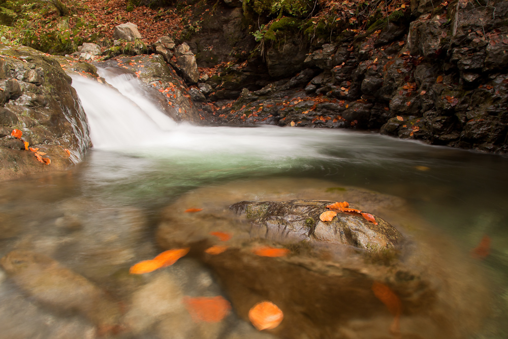 Le Chéran en automne