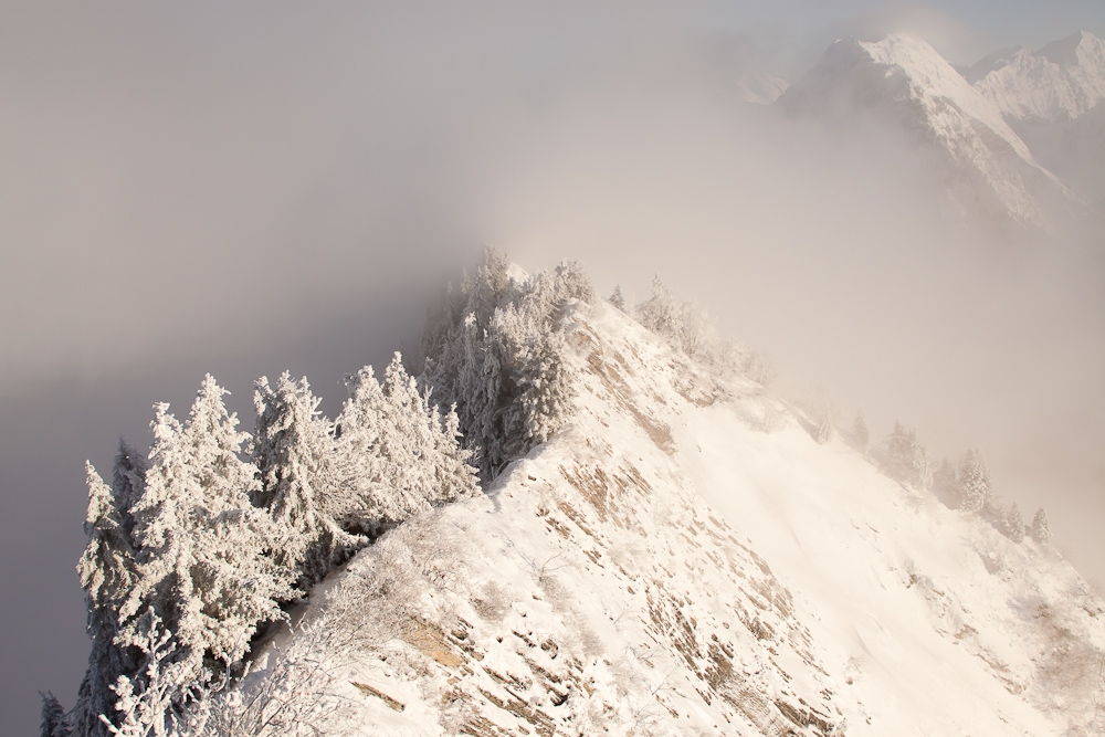 Rideau de brume au pied de la dent de Cons