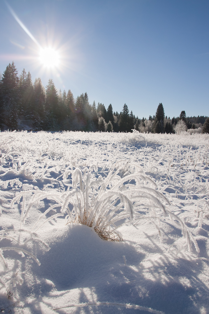 Apres une chute de neige fraiche