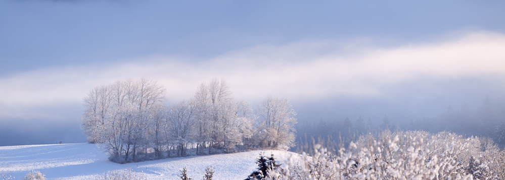 Echarpe de brume