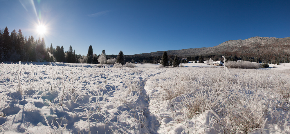 Premiere neige sur l'alpage