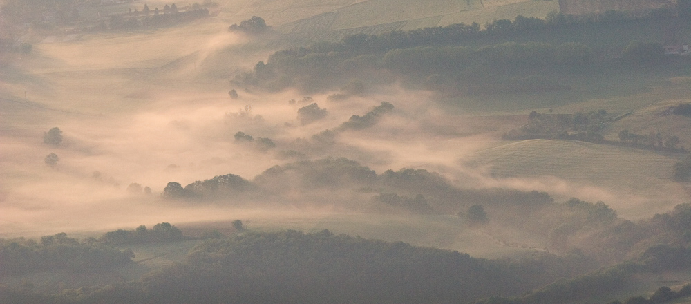 Brumes matinales sur le bocage