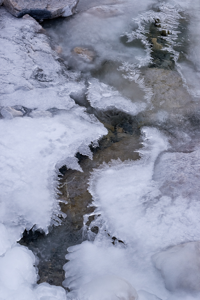 Sous l'emprise des glaces